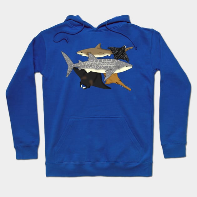 Elasmobranchs Hoodie by HonuHoney